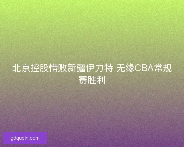 北京控股惜败新疆伊力特 无缘CBA常规赛胜利